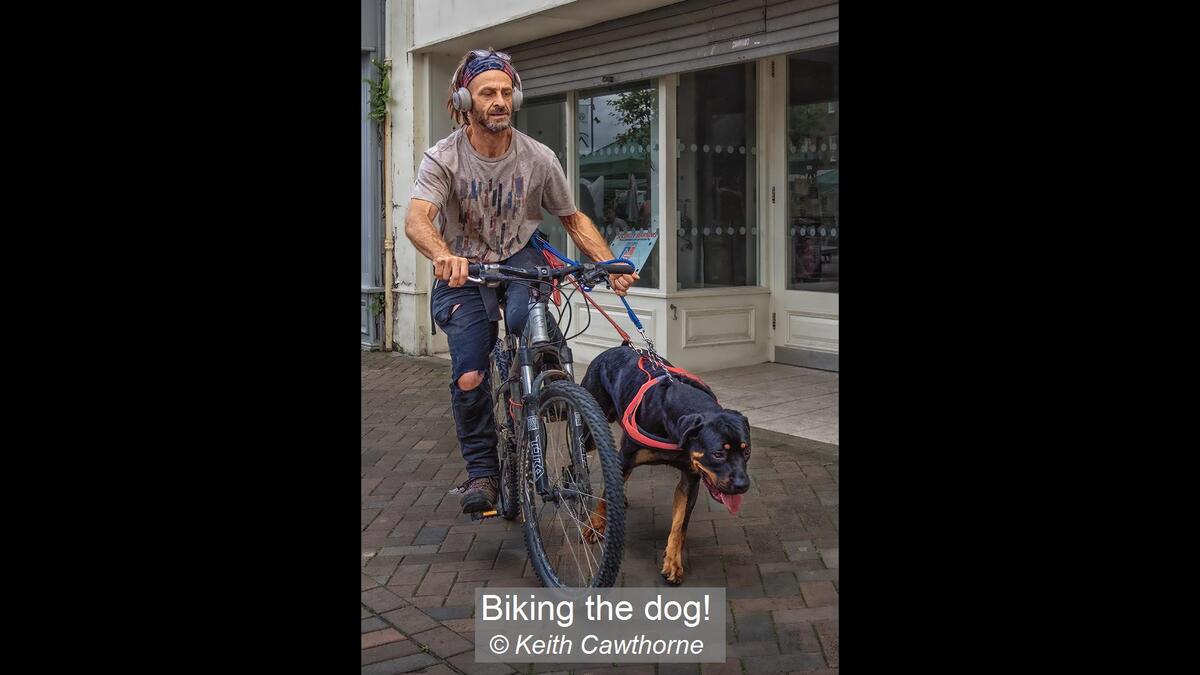 20_Biking the dog!_Keith Cawthorne